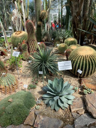 Botanischer Garten